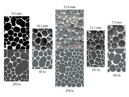 Comparison of experimental and numerical foam structures