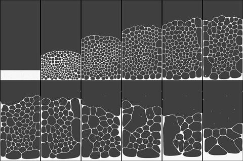 Simulation of the expansion and the collapse of a metallic foam