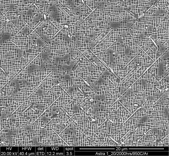 Microstructure of nickel-based alloy ASTRA-1 after long-term thermal treatment