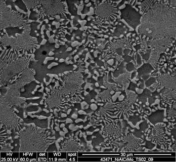 Microstructure of a NiAlCrMo near eutectic alloy