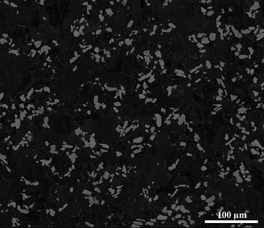 Microstructure of in-situ reinforced pure aluminium