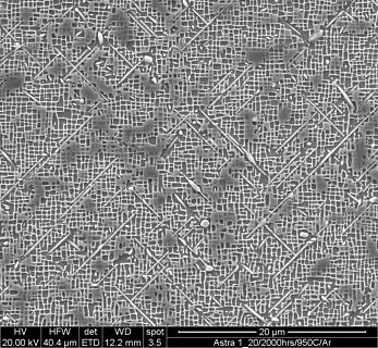 Microstructure of the experimental alloy ASTRA-1 after thermal treatment